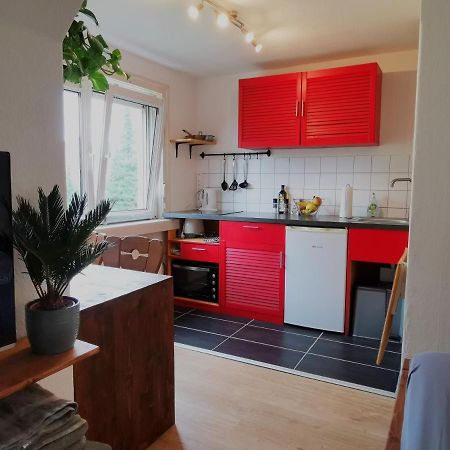 Kleines Studio Am Uni-Campus - Perfekt Fuer Junge Unternehmungslustige Dresden Bagian luar foto