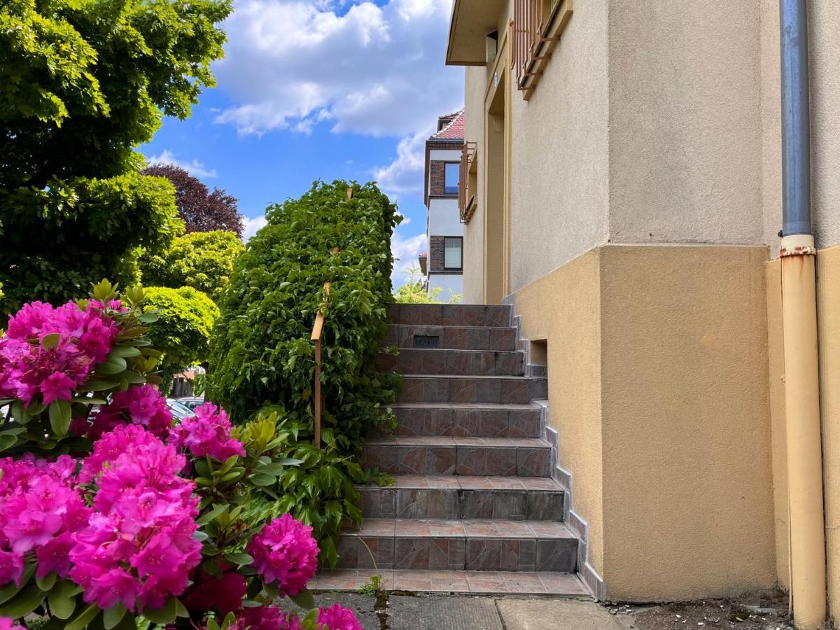 Kleines Studio Am Uni-Campus - Perfekt Fuer Junge Unternehmungslustige Dresden Bagian luar foto